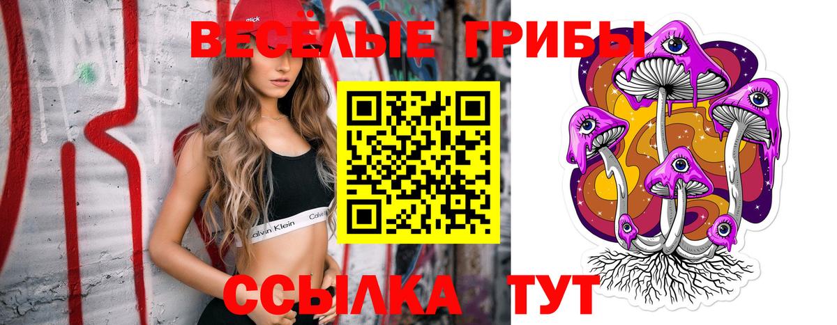 Псилоцибиновые грибы Psilocybe Орёл