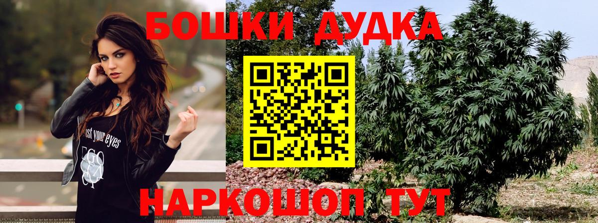 Бошки Шишки план Орёл